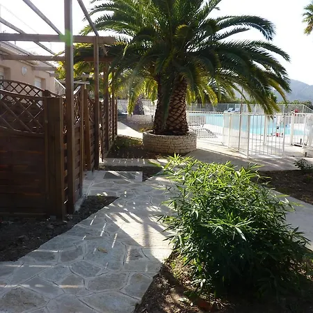 Adonis Florent Saint-Florent (Corsica)