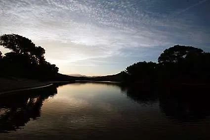 Adonis Florent Saint-Florent (Corsica)
