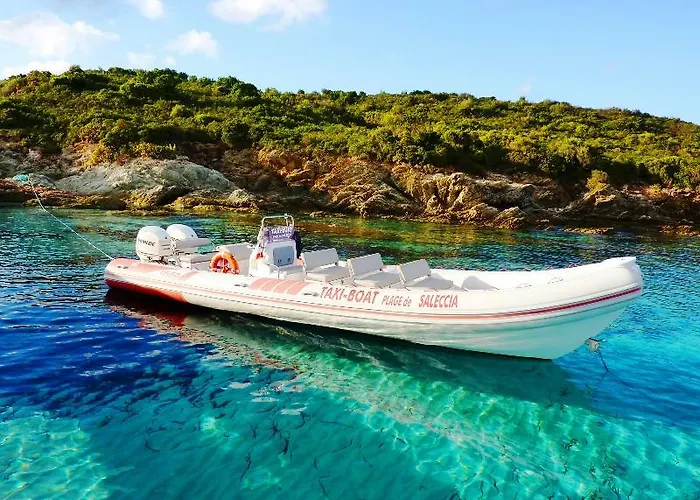 Apartahotel Adonis Florent 3*